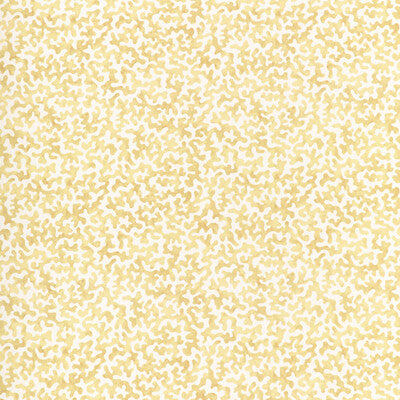 CORALCOAST-14 CORALCOAST CORNSILK KRAVET BASICS Fabrics Drapery Upholstery