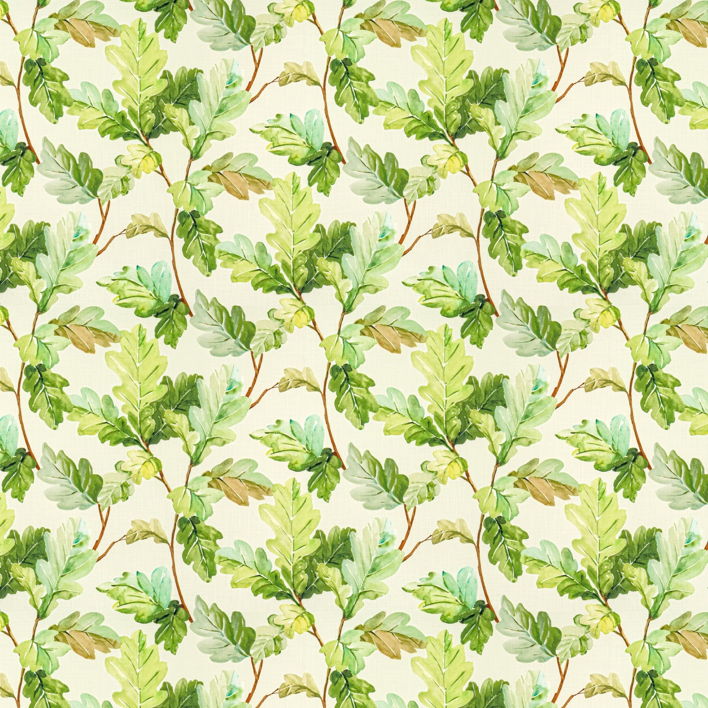 COYOTE Stout Multi-Purpose