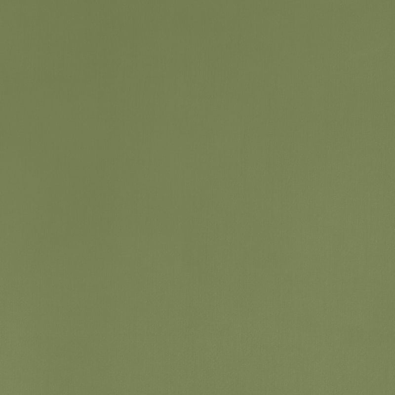 D07785 Coraggio Olive Fabric