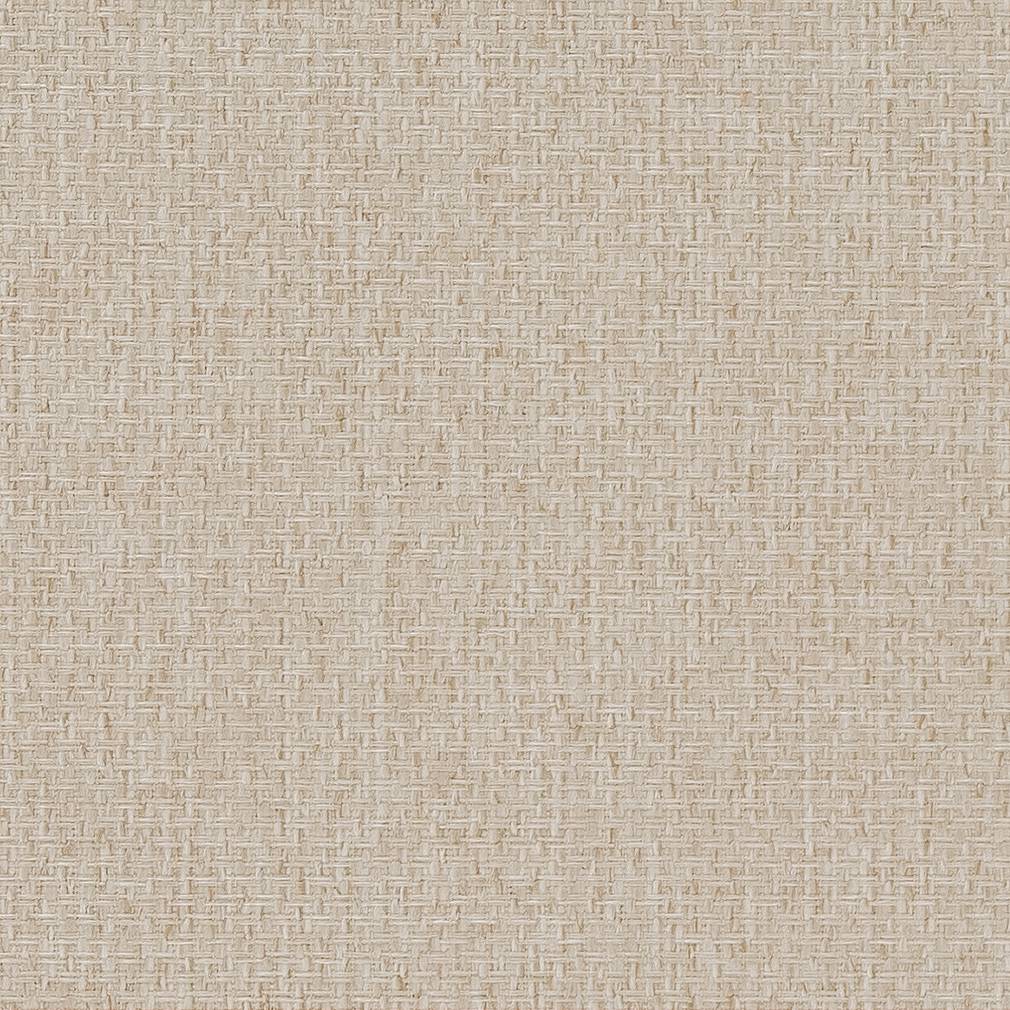 D1617 Plain & Solid Parchment Beige & Taupe Charlotte Fabrics