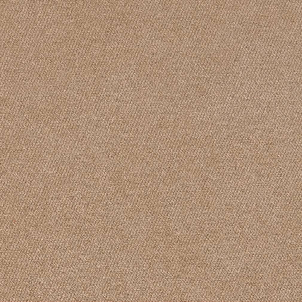 D1793 Plain & Solid Fawn Beige & Taupe Charlotte Fabrics