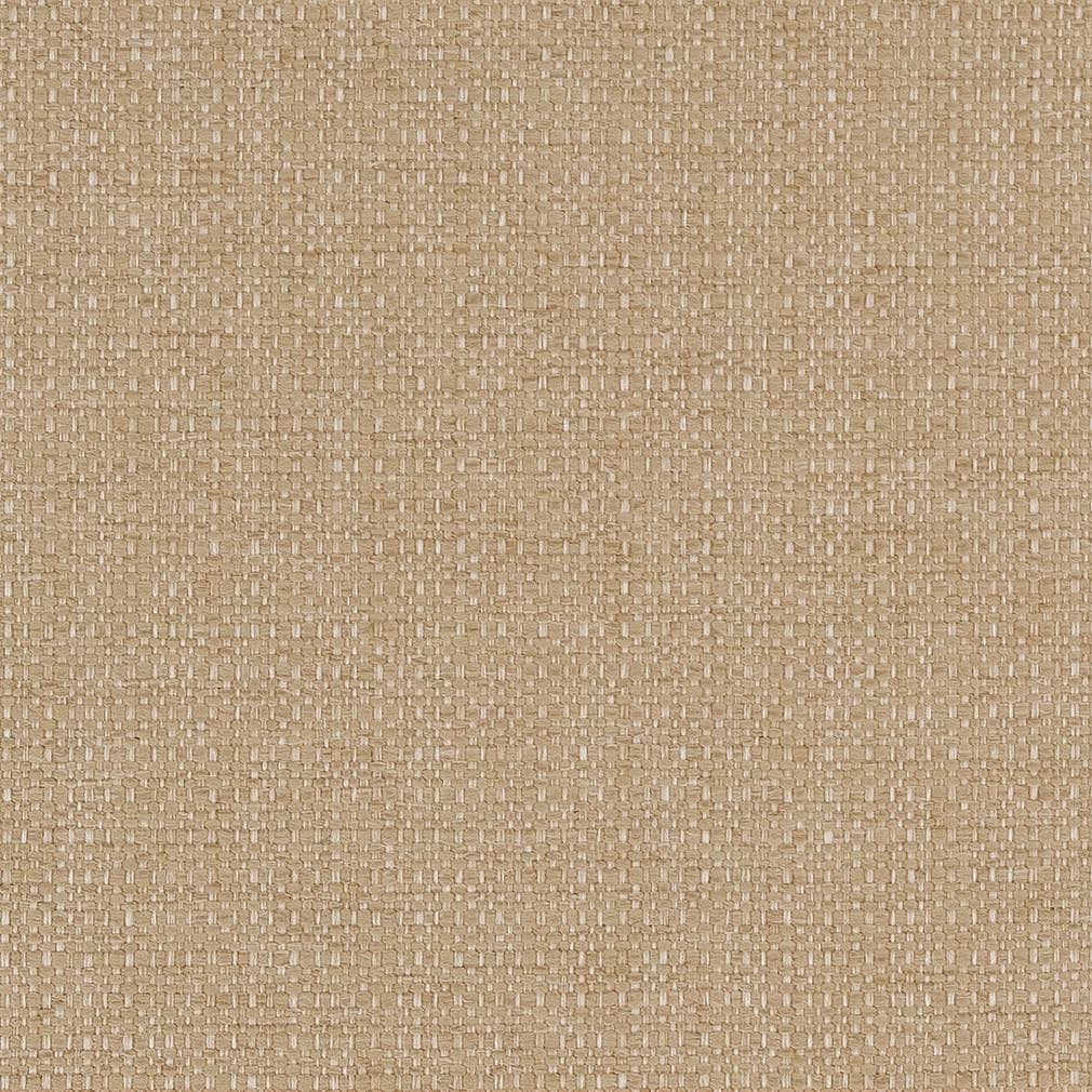 D1982 Plain & Solid Almond Beige & Taupe Charlotte Fabrics