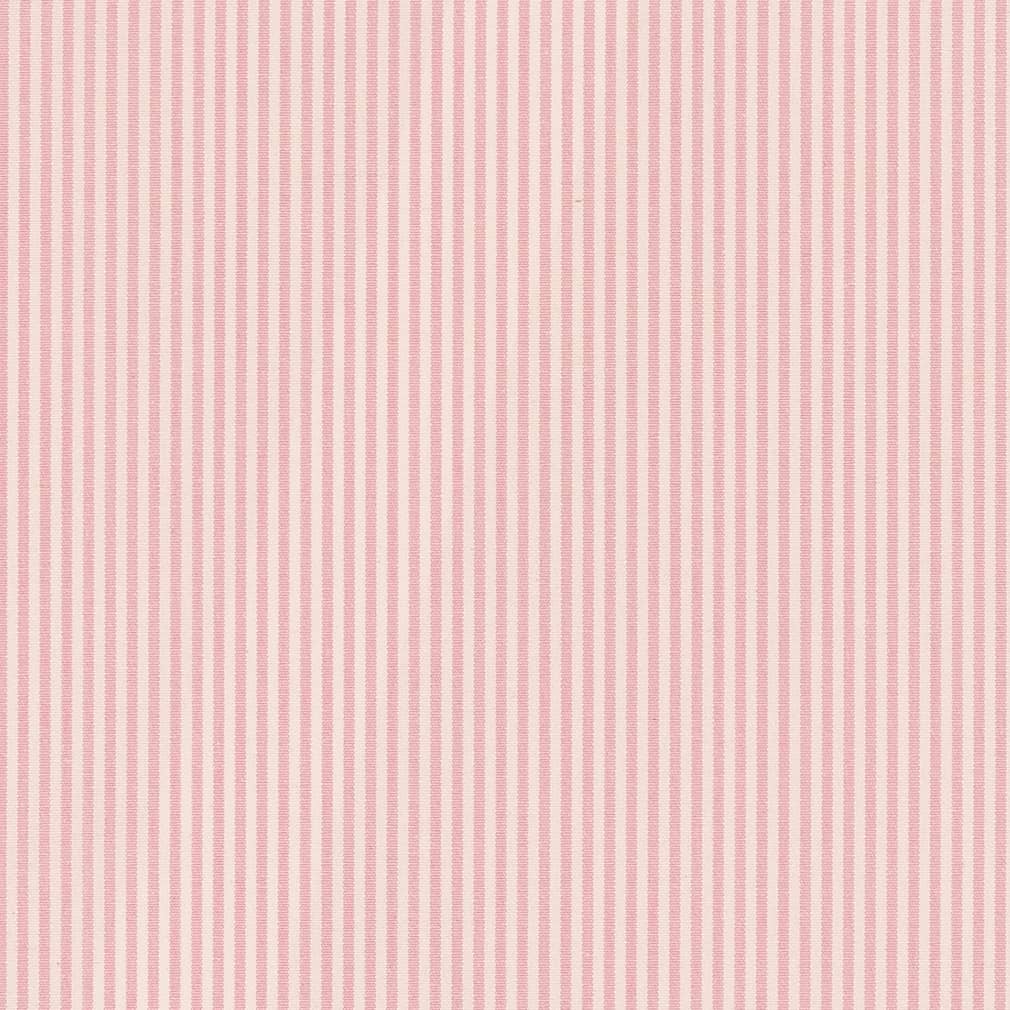 D2381 Small Scale,Stripe Pink Pink Charlotte Fabrics