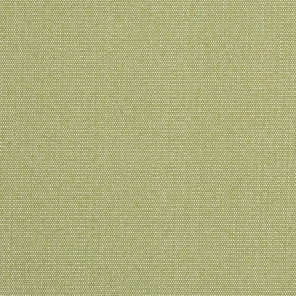 D2521 Plain & Solid Pear Green Charlotte Fabrics