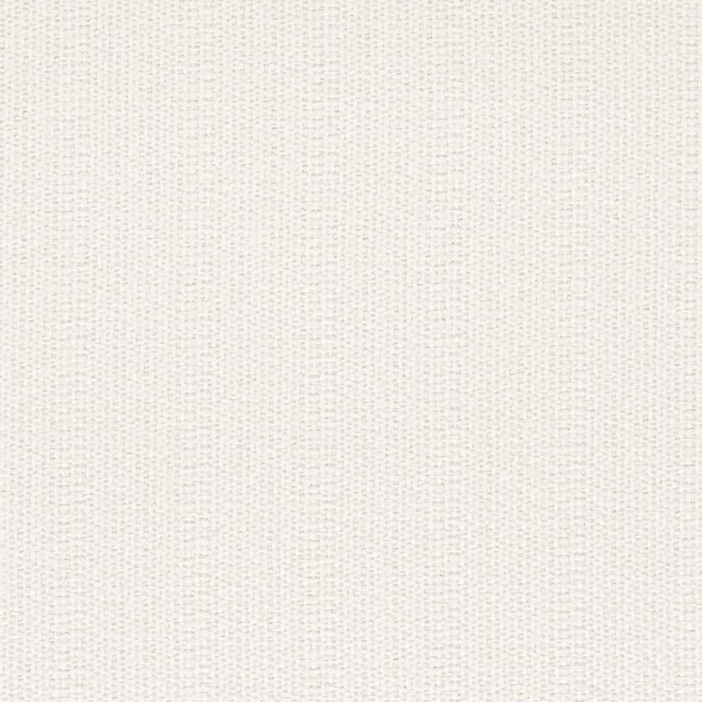 D2529 Plain & Solid Ivory White & Ivory Charlotte Fabrics