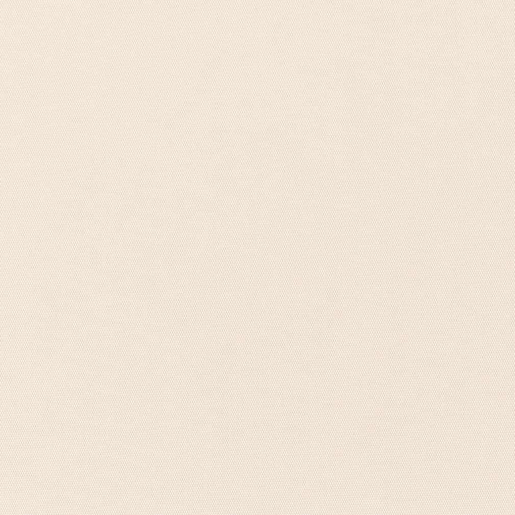 D2808 Plain & Solid Oyster White & Ivory Charlotte Fabrics