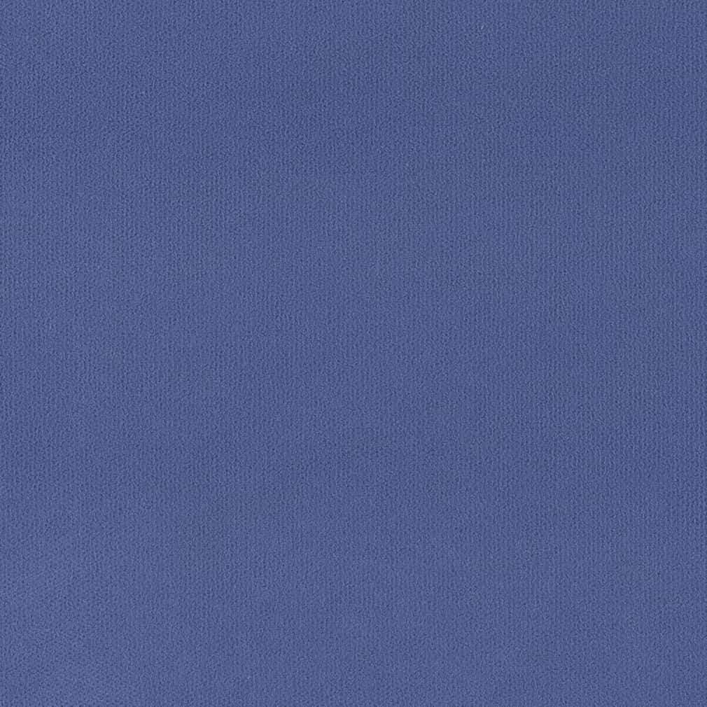 D2814 Plain & Solid Blueberry Blue Charlotte Fabrics