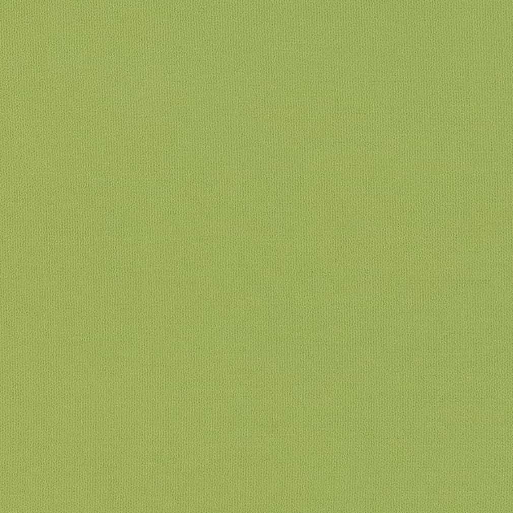 D2819 Plain & Solid Lime Green Charlotte Fabrics