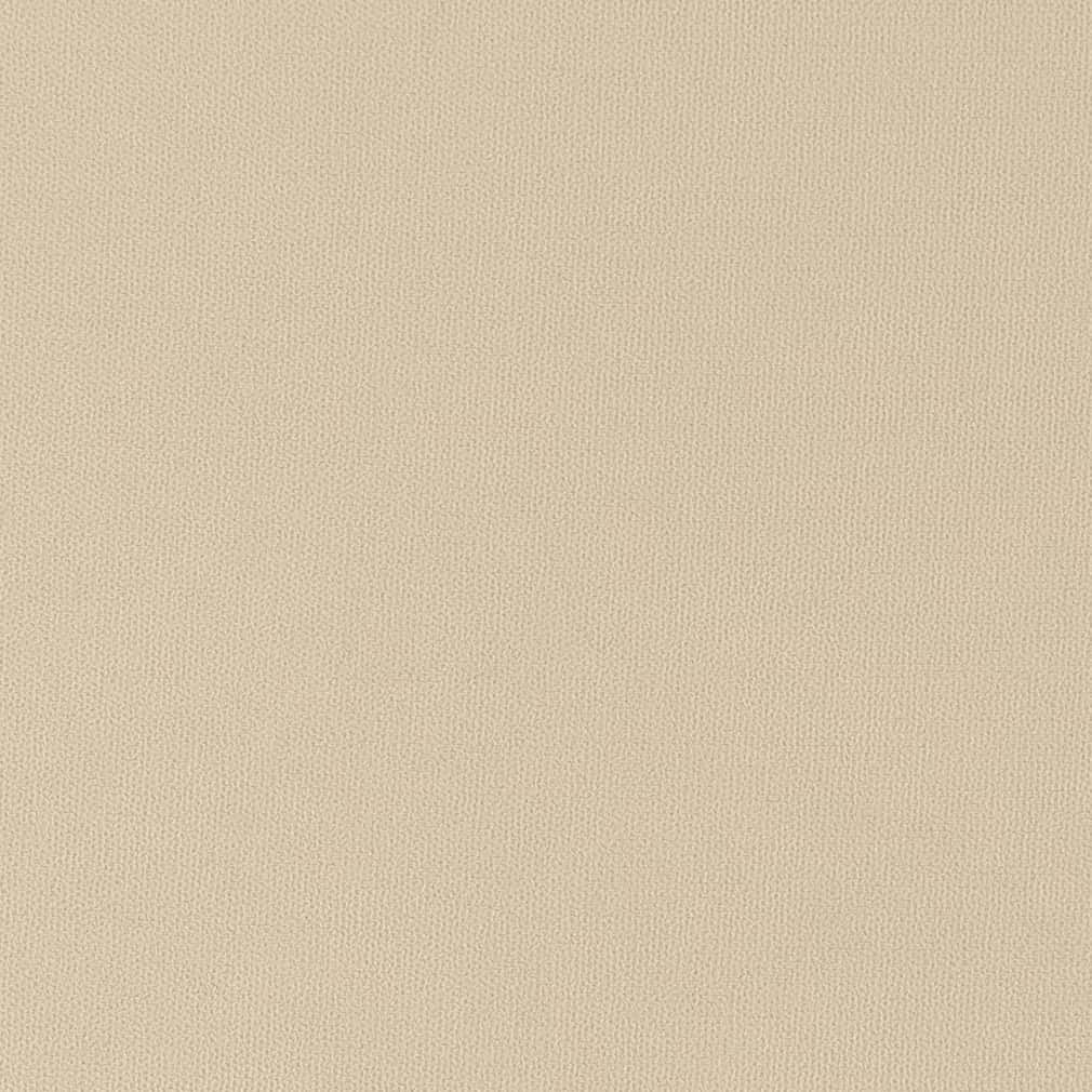 D2826 Plain & Solid Taupe Beige & Taupe Charlotte Fabrics