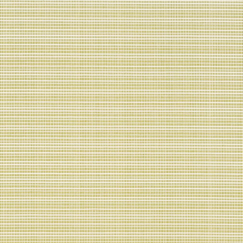 D2846 Plain & Solid Avocado Green Charlotte Fabrics