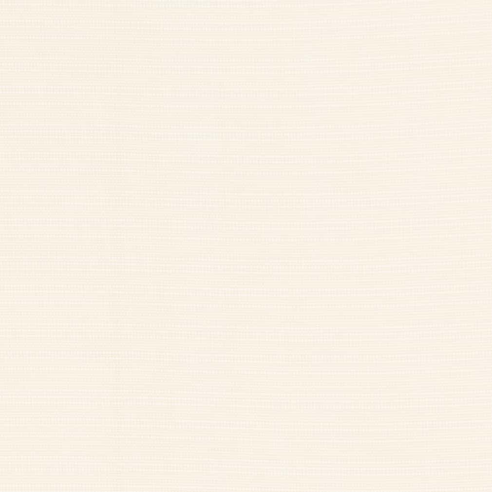 D2855 Plain & Solid Alabaster White & Ivory Charlotte Fabrics