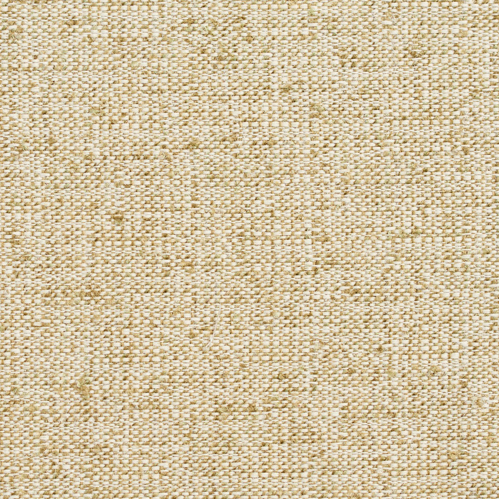 D344 Plain & Solid Meadow Green Charlotte Fabrics