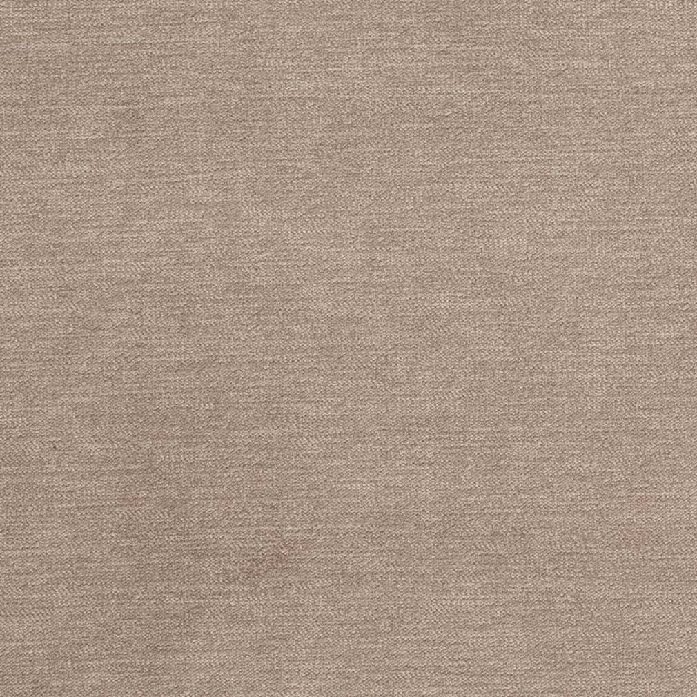 D3829 Plain & Solid Beige & Taupe Charlotte Fabrics Velvet