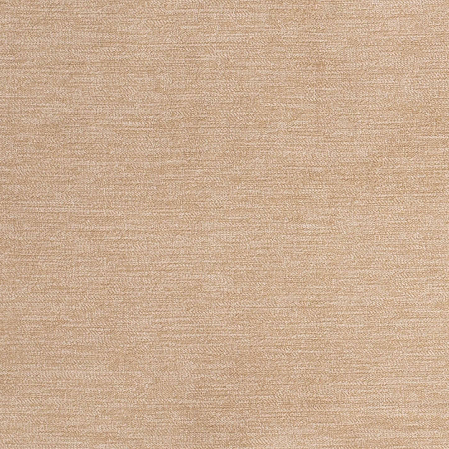 D3840 Plain & Solid Beige & Taupe Charlotte Fabrics Velvet