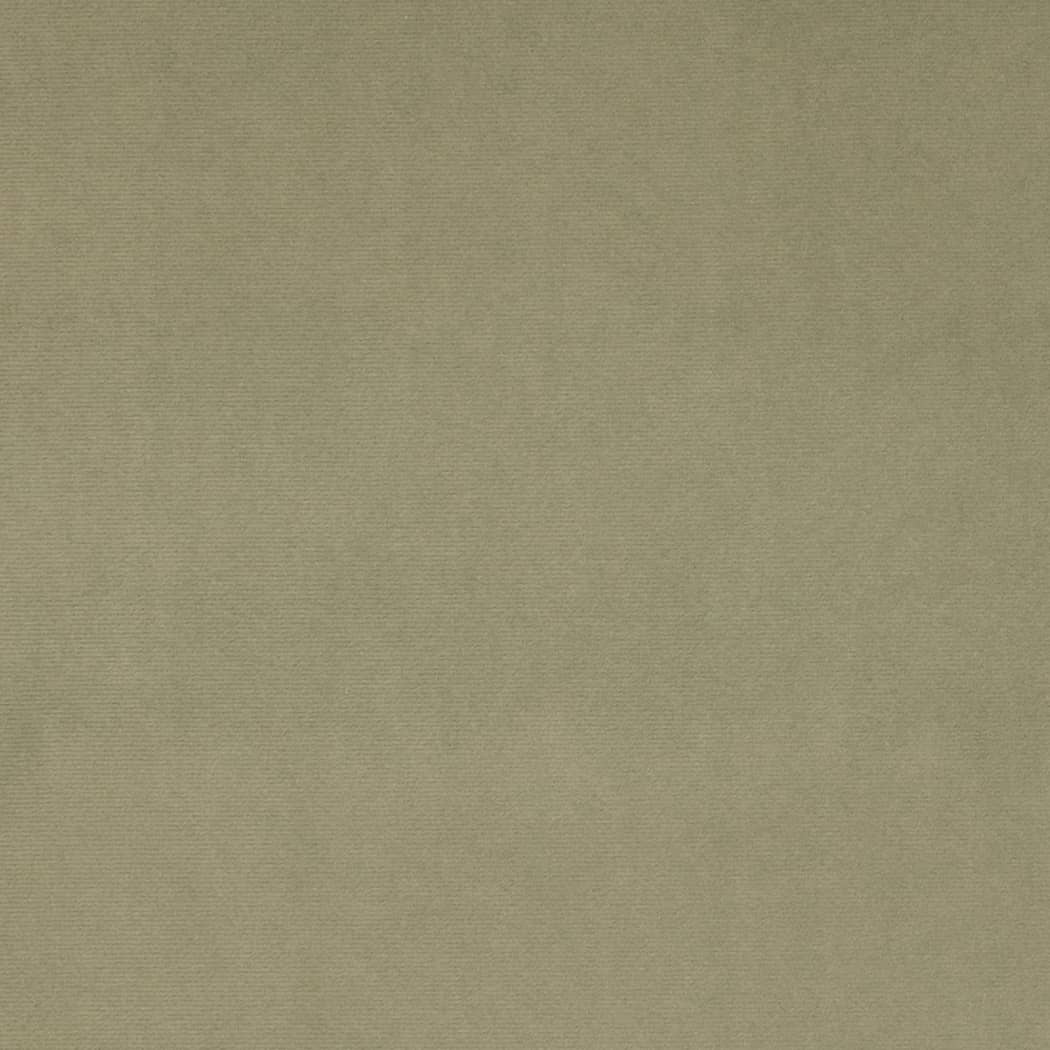 D4514 Plain & Solid Green Charlotte Fabrics Microfiber & Microsuede,Velvet