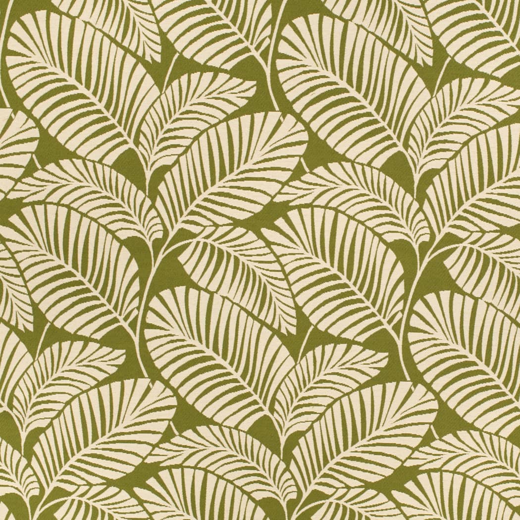 D4558 Leaves,Tropical & Botanical Green Charlotte Fabrics Woven Patterns