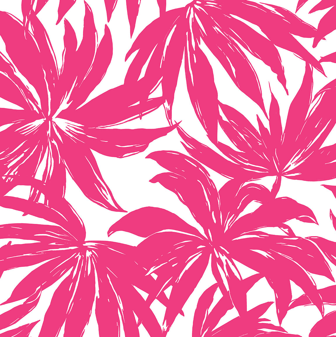 DBW9117 Daisy Bennett Designs West Boulevard Collection Wallpaper Palma Hot Pink