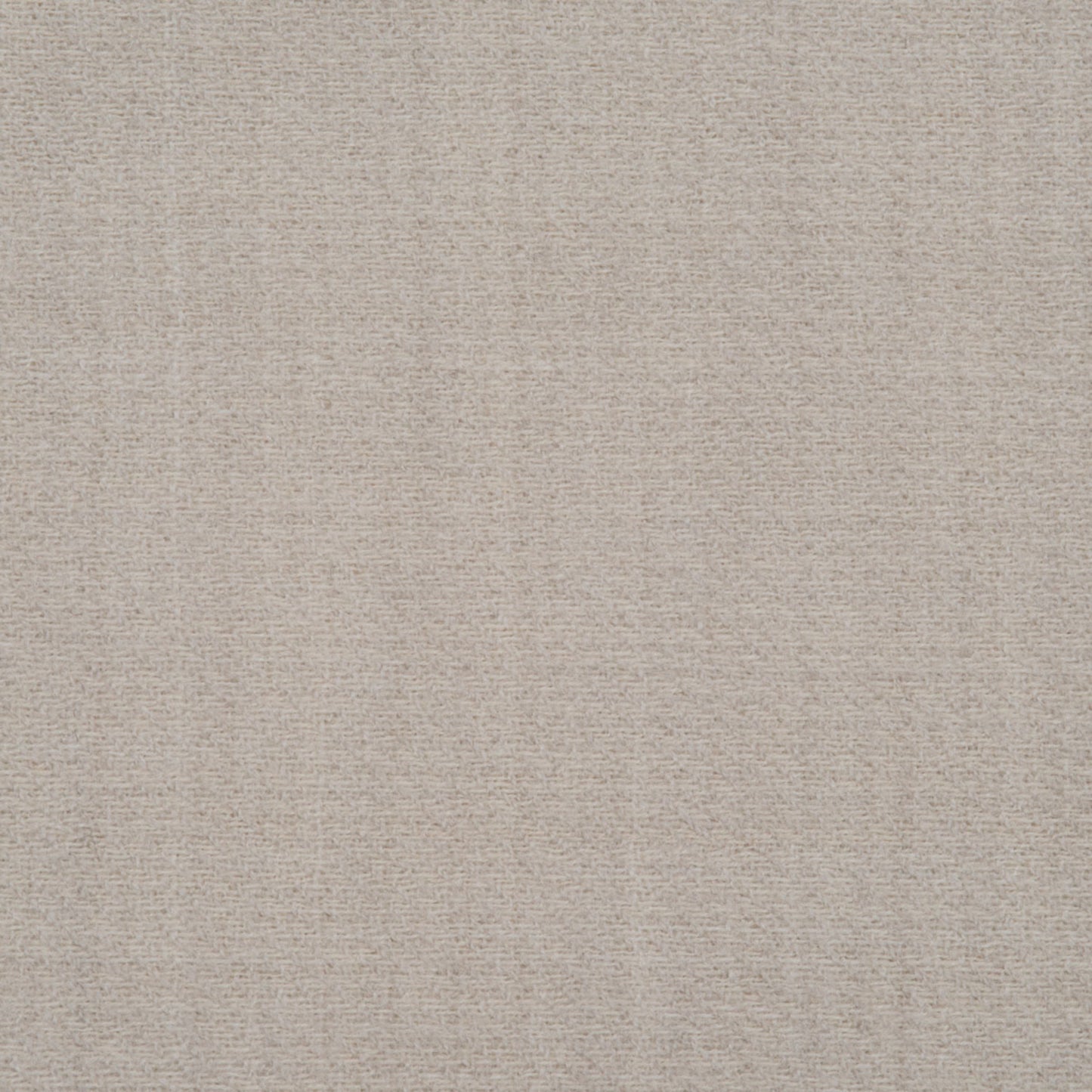 DG-10302-020 JACK RABBIT CREAM DONGHIA