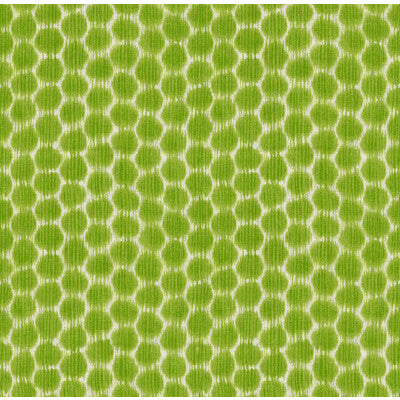 DOTKAT-3 DOTKAT GLADE KRAVET DESIGN Fabrics Drapery Upholstery