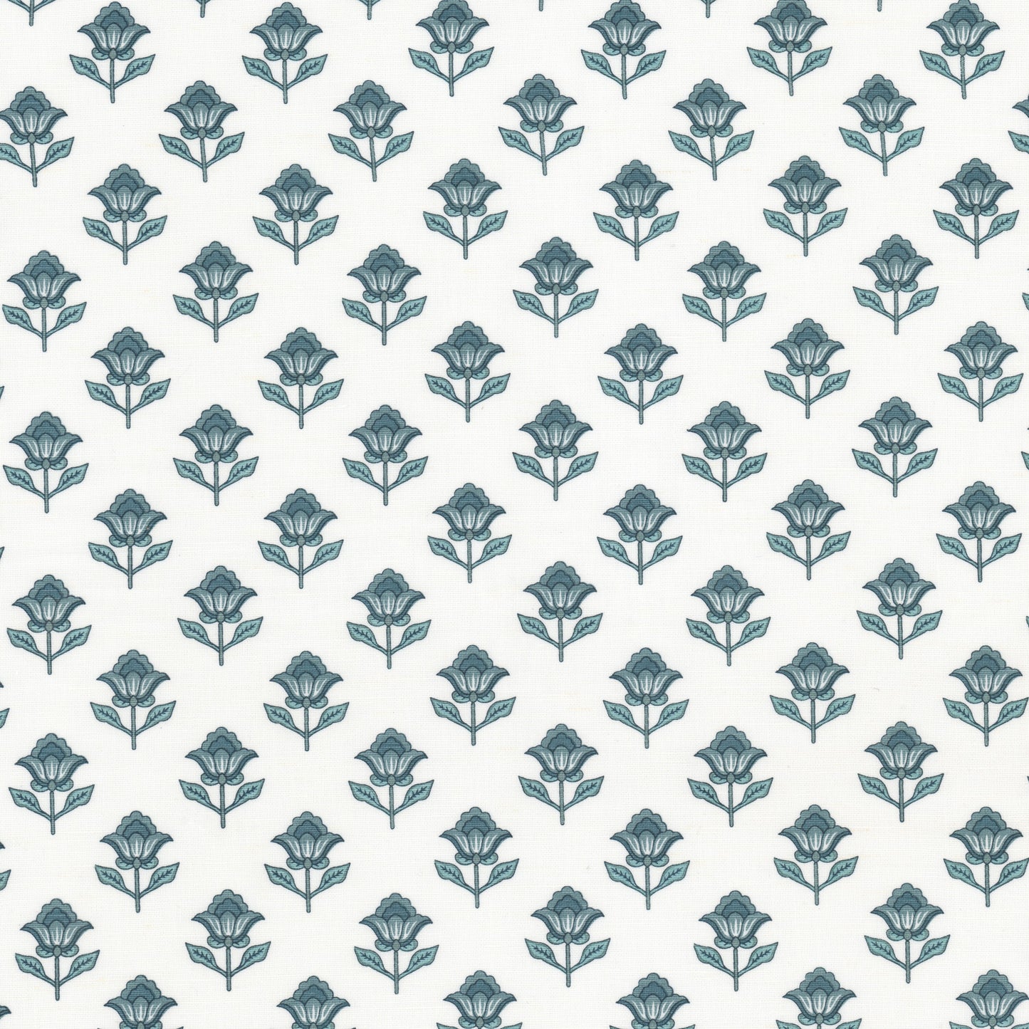 DREAM Stout Multi-Purpose