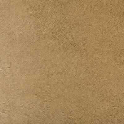 DUST-106 KRAVET DESIGN DUST-106 KRAVET DESIGN UPHOLSTERY