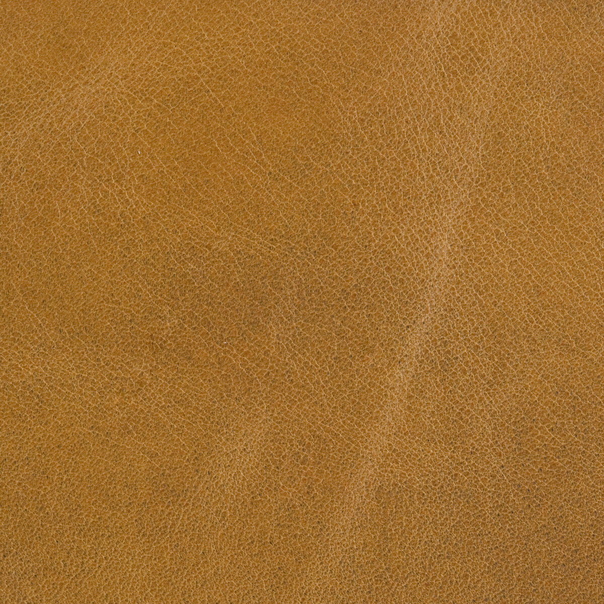 ED50045-830 PICKFORD GOLD THREADS UPHOLSTERY