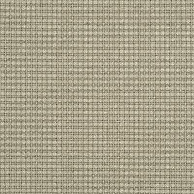 ED85058-780 AVANI SILVER BIRCH THREADS Fabrics Drapery Upholstery