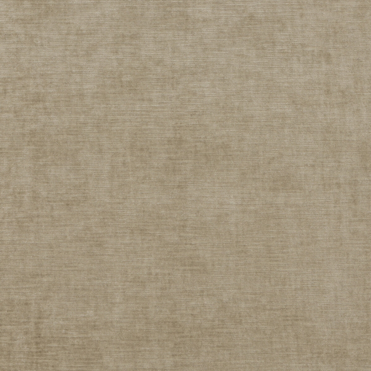ED85292-230 MERIDIAN VELVET OATMEAL THREADS UPHOLSTERY