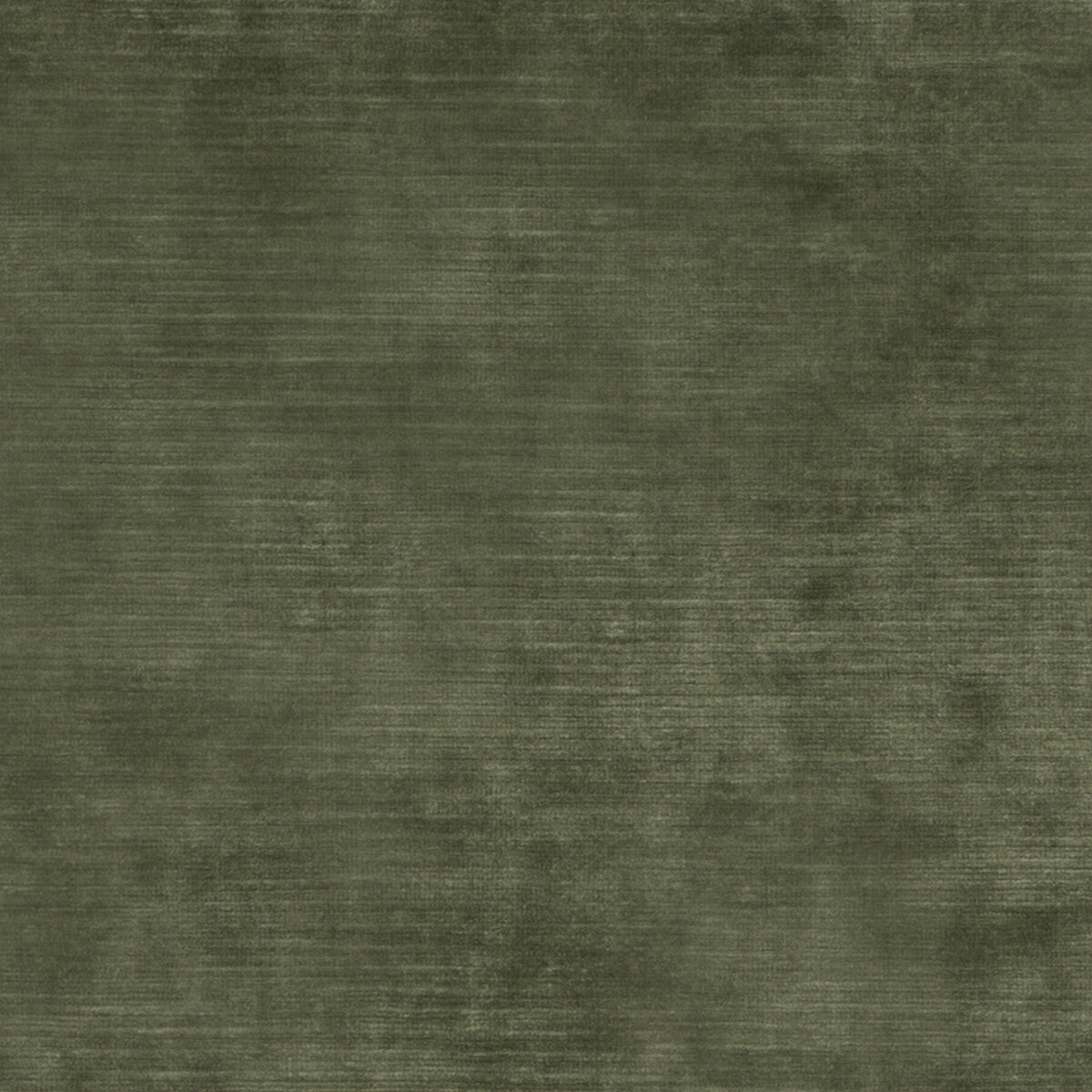 ED85292-775 MERIDIAN VELVET FERN THREADS UPHOLSTERY