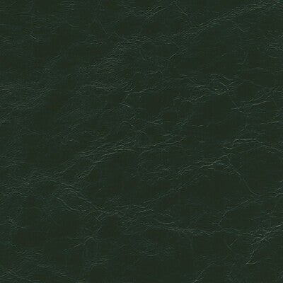 EQUINE-3 KRAVET DESIGN EQUINE-3 KRAVET DESIGN UPHOLSTERY