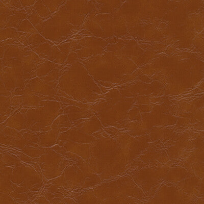 EQUINE-6 KRAVET DESIGN EQUINE-6 KRAVET DESIGN UPHOLSTERY