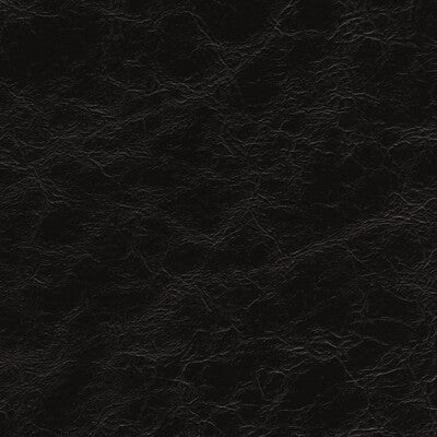 EQUINE-8 KRAVET DESIGN EQUINE-8 KRAVET DESIGN UPHOLSTERY