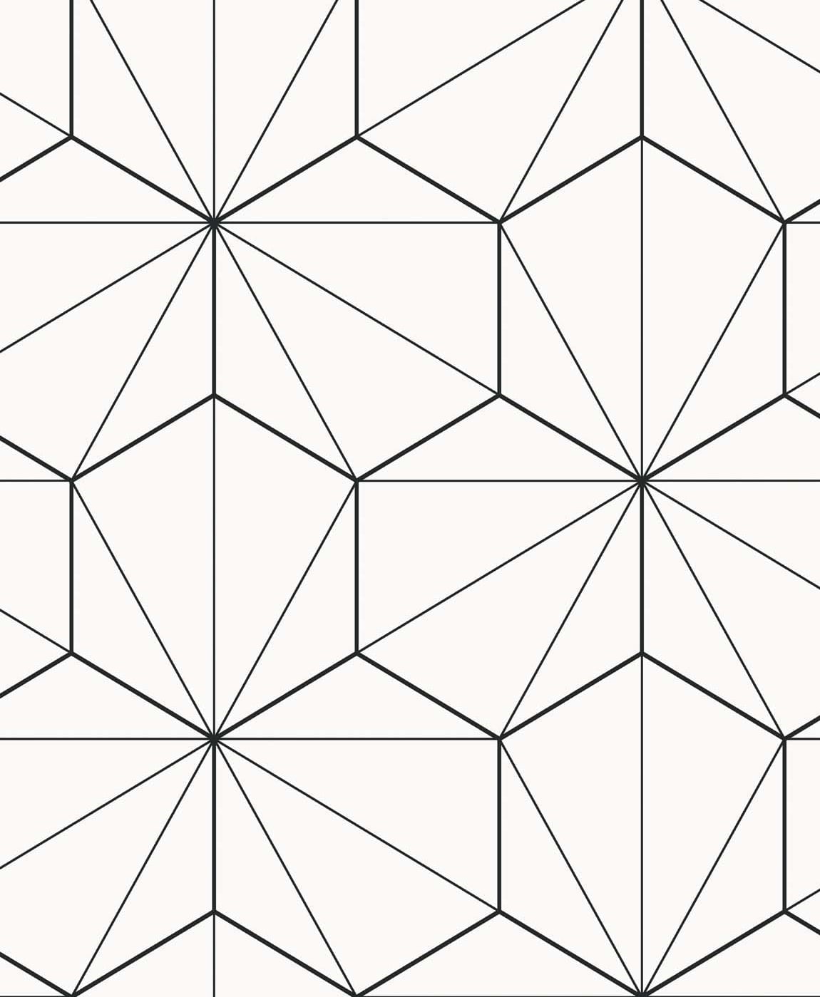 ET11300 Etten Studios Etten Studios Online Wallpaper Hedron Geometric Ebony & Eggshell