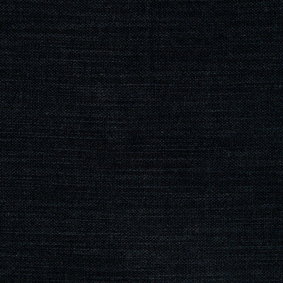 F0594/30-CAC NANTUCKET LICORICE CLARKE AND CLARKE Fabrics Drapery Upholstery