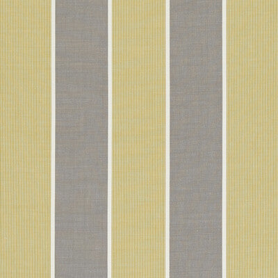 F0597/01-CAC CHATBURN CITRUS CLARKE AND CLARKE Fabrics Drapery Upholstery