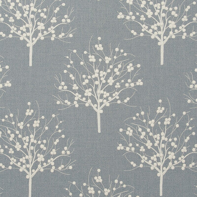 F0733/01-CAC BOWOOD CHAMBRAY CLARKE AND CLARKE DRAPERY