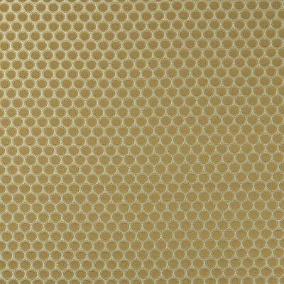 F0867/01-CAC DUOMO ANTIQUE CLARKE AND CLARKE Fabrics Drapery Upholstery