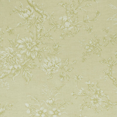 F1047/01-CAC SIMONE CITRON CLARKE AND CLARKE Fabrics Drapery Upholstery