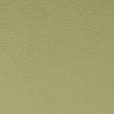 F1062/04-CAC SPECTRUM CHAMELEON CLARKE AND CLARKE Fabrics Drapery Upholstery
