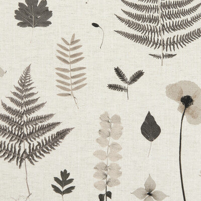 F1089/02-CAC HERBARIUM CHARCOAL/NATURAL CLARKE AND CLARKE Fabrics Drapery Upholstery