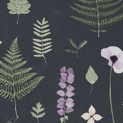 F1089/03-CAC HERBARIUM HEATHER/EBONY CLARKE AND CLARKE Fabrics Drapery Upholstery