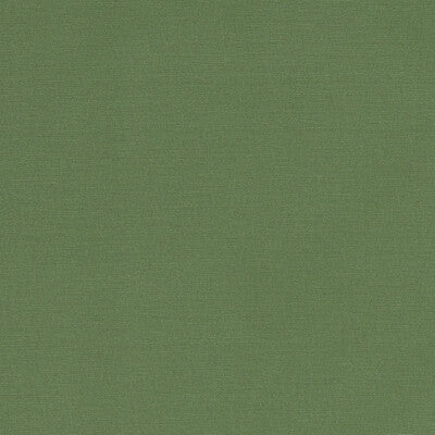 F1097/43-CAC ALORA PALM CLARKE AND CLARKE Fabrics Drapery Upholstery