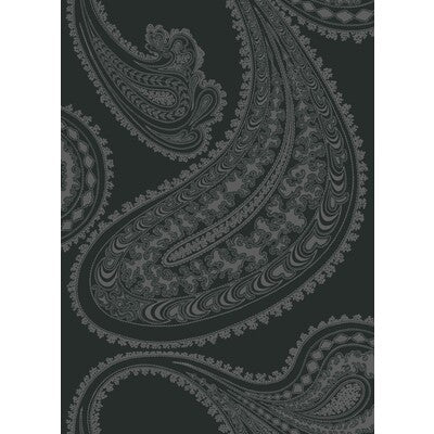 F111/10037-CS RAJAPUR CHAR BLK COLE & SON Fabrics Drapery Upholstery