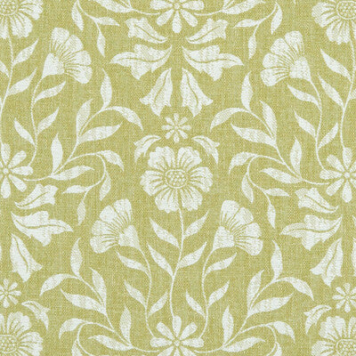 F1120/01-CAC BERKELEY CITRON CLARKE AND CLARKE Fabrics Drapery Upholstery