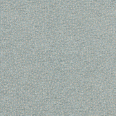 F1132/05-CAC NEBULA DUCKEGG CLARKE AND CLARKE Fabrics Drapery Upholstery
