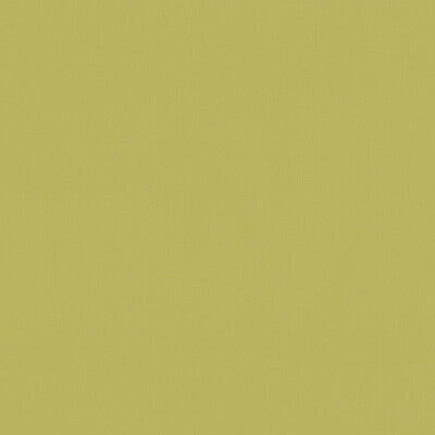 F1231/04-CAC RENZO CITRUS CLARKE AND CLARKE Fabrics Drapery Upholstery