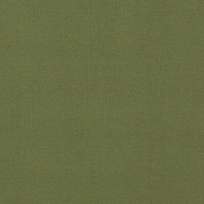 F1231/11-CAC RENZO FOREST CLARKE AND CLARKE Fabrics Drapery Upholstery
