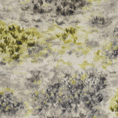 F1298/01-CAC FIORE CHARCOAL/CHARTREUSE CLARKE AND CLARKE Fabrics Drapery Upholstery