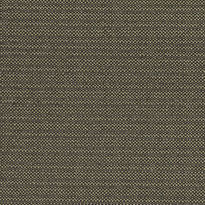 F1299/02-CAC KAUAI CHARCOAL CLARKE AND CLARKE Fabrics Drapery Upholstery