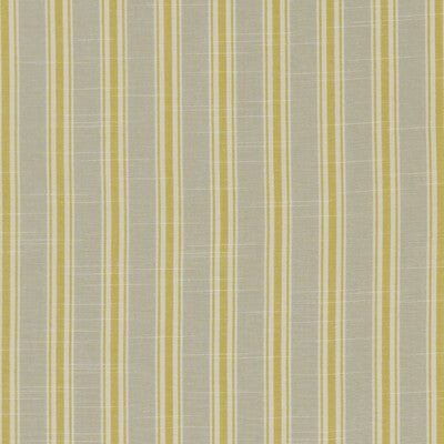 F1311/03-CAC THORNWICK CITRUS CLARKE AND CLARKE Fabrics Drapery Upholstery